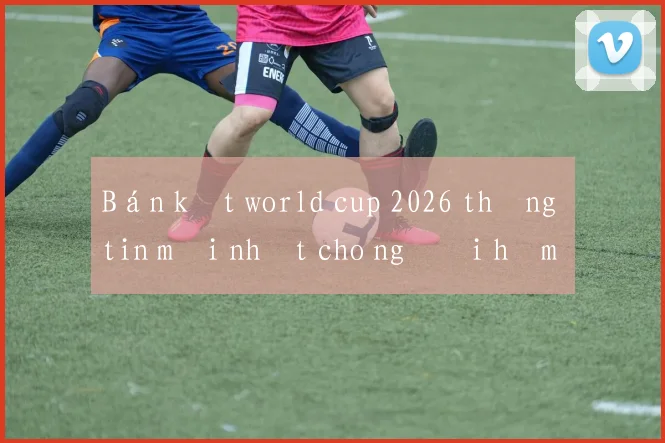 Bán kết world cup 2026 thông tin mới nhất cho người hâm mộ