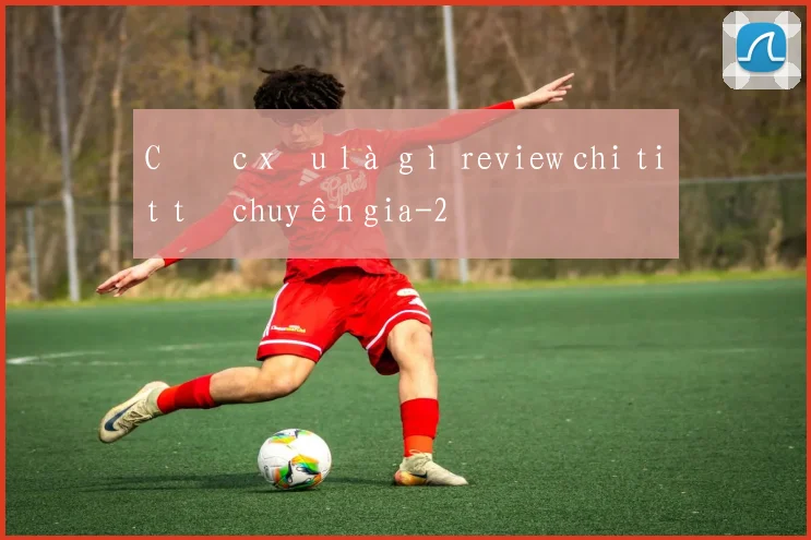 Cược xâu là gì review chi tiết từ chuyên gia