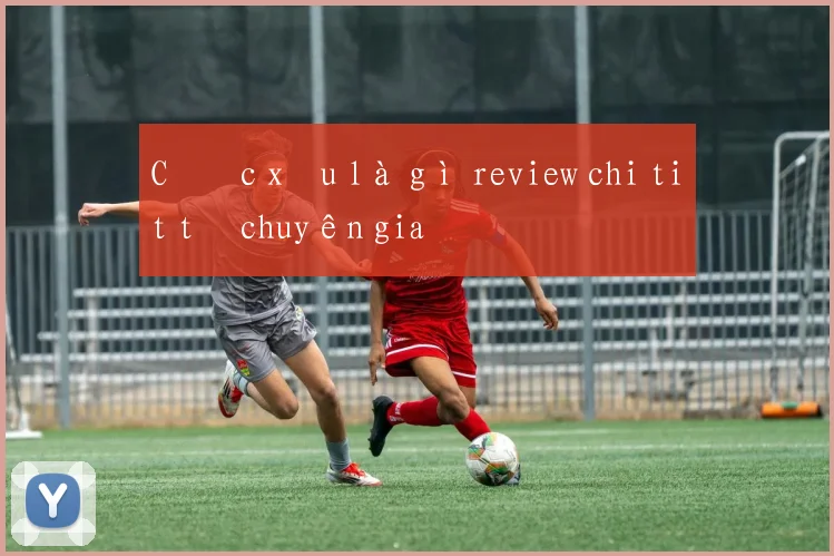 Cược xâu là gì review chi tiết từ chuyên gia
