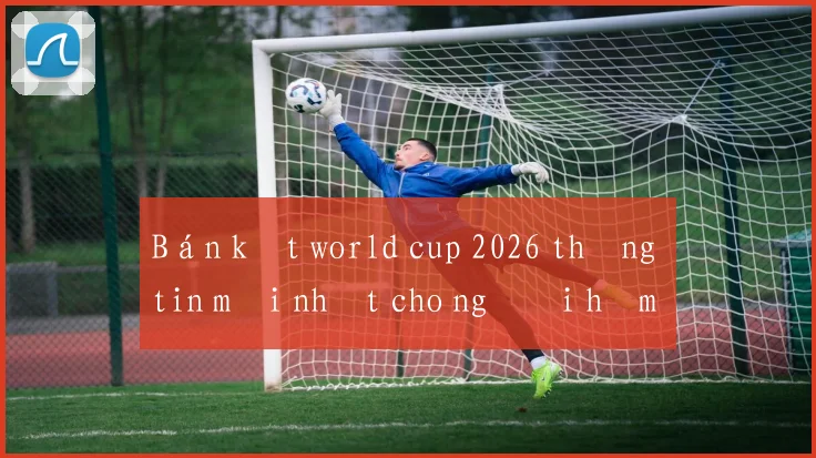 Bán kết world cup 2026 thông tin mới nhất cho người hâm mộ