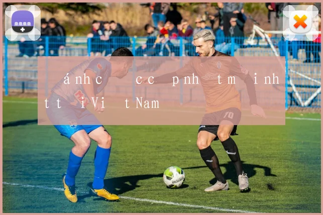 Đánh cược cập nhật mới nhất tại Việt Nam
